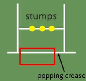 Diagram showing the area of a cricket pitch that a yorker targets