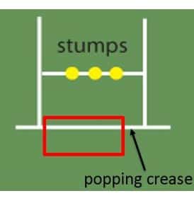 Photo showing the ideal zone for a bowler to land a yorker in