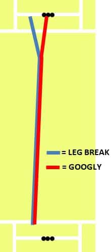 Photo showing difference in spin direction between leg break and googly
