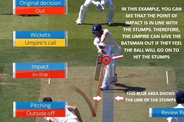 This image shows a batsman being hit in line with the stumps