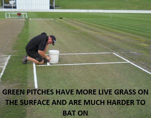 A picture showing a cricket pitch with green grass on it
